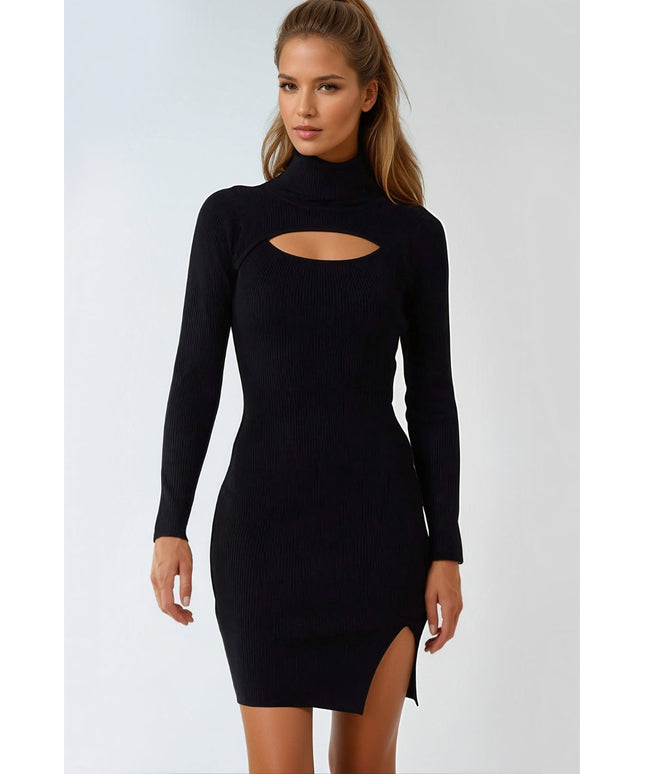 Black Ribbed Cut Out Roll Neck Dress